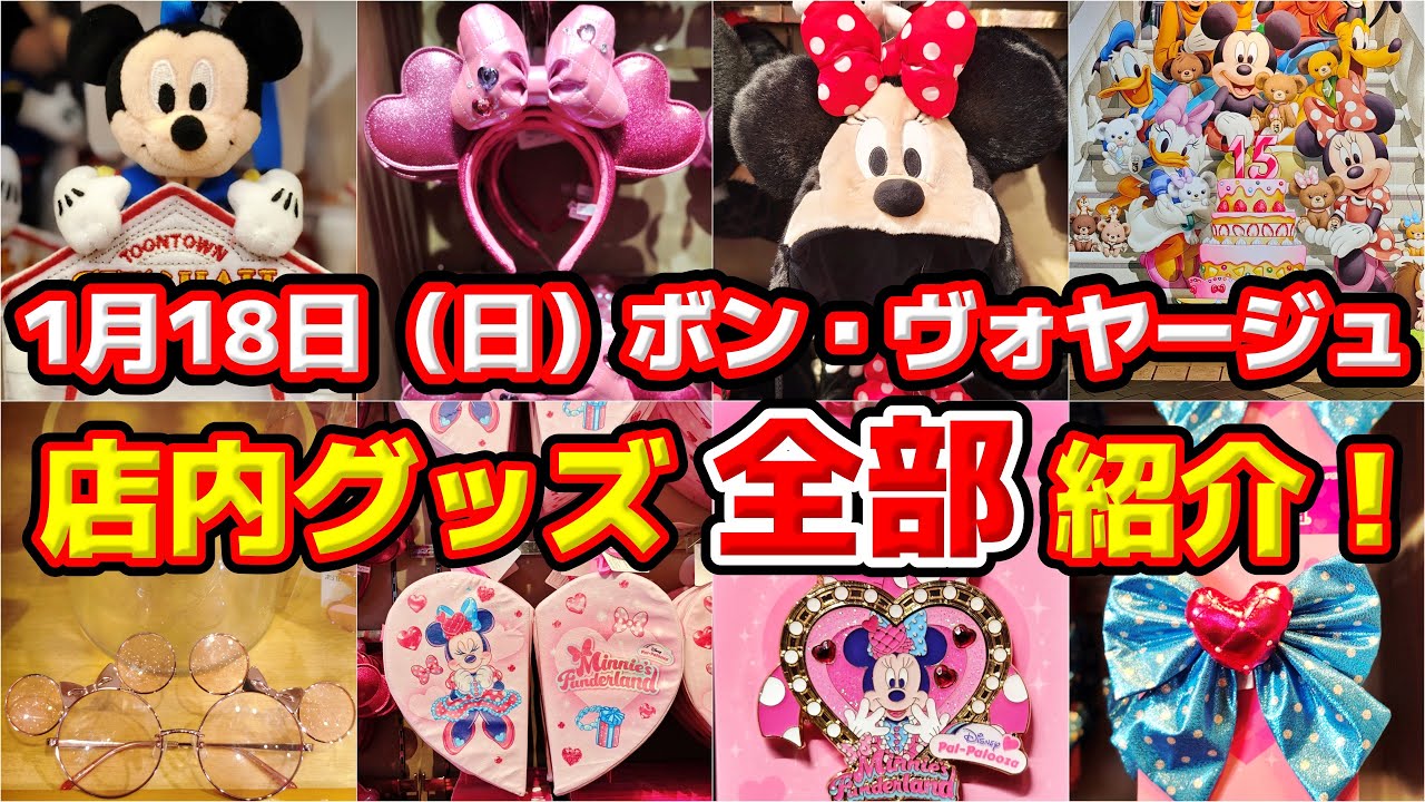 【✨『ボン・ヴォヤージュ』店内グッズ全部大公開✨‼️】ミニパル大盛況‼️🎉ディズニーストアのおススメグッズも‼️🔥1月18日（日）舞浜グッズ徹底レポート✨