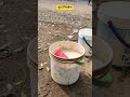 तुटा कीड ओळख व नियंत्रण पद्धत. #ytshorts #farming #viral