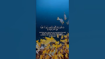 تلاوة خاشعة | سورة الفرقان ٧١-٧٤ | راحة القلب 🌿