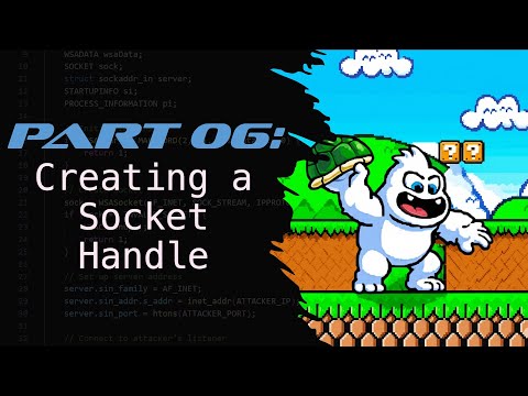 06 - Starting to Call Windows API Functions, Getting a Socket Handle