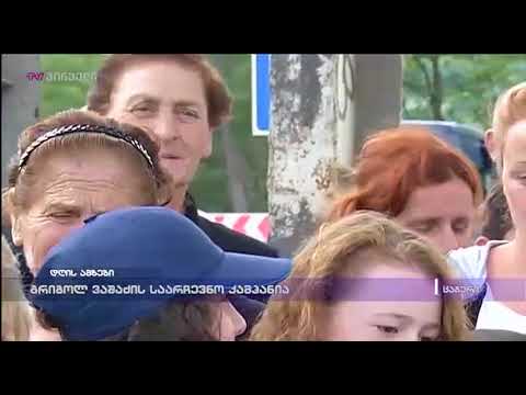 გრიგოლ ვაშაძის საარჩევნო კამპანია