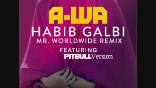 Pitbull - Habib Galbi ( Mr. Worldwide Remix Dj Maniek Pitbull Version ) Resimi