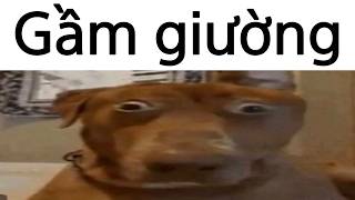 Bạn Nghe Thấy Tiếng Động Lạ Phát Ra Từ...