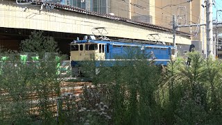 2020/09/09 JR East: EF65 1105 at Tabata Yard