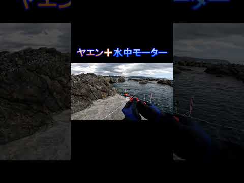 ショート  #釣り #ヤエン #水中モーター
