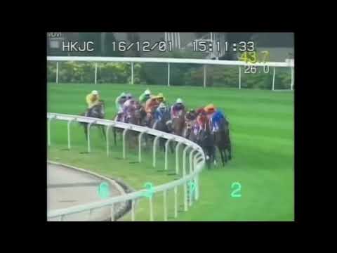 2001年 第8回 香港ヴァーズ ステイゴールド BGM付