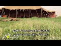 ياجماعة ضلوعي لبسوها صفايح 