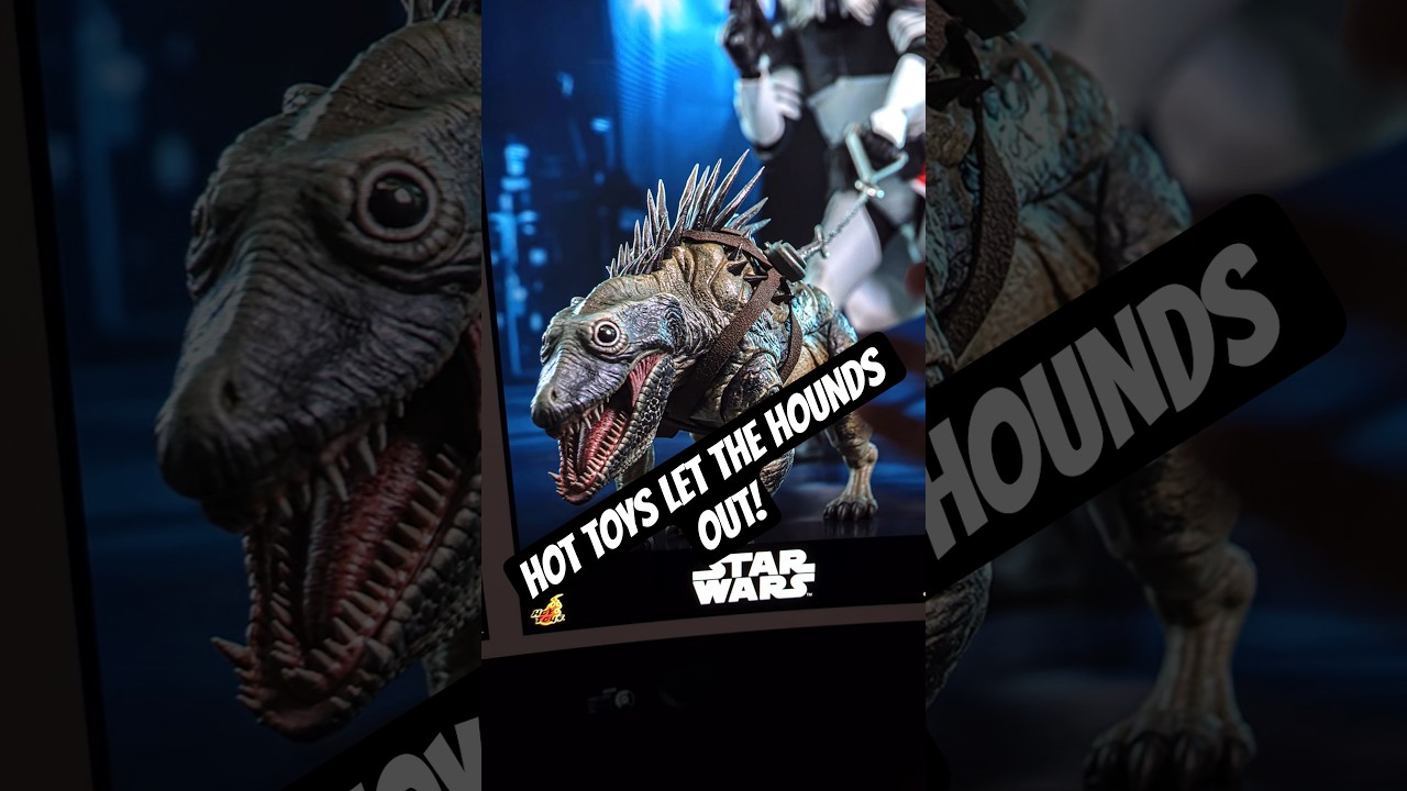 HOT TOYS LET THE HOUNDS OUT! 