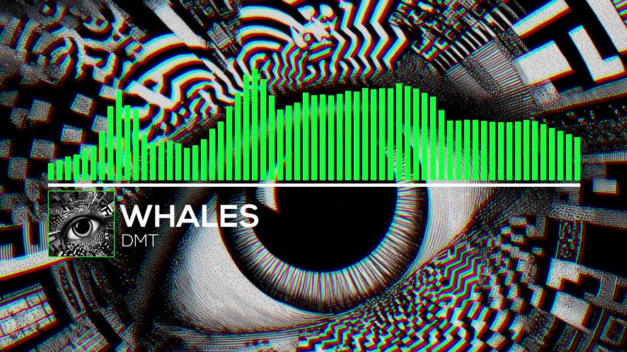 Whales - DMT