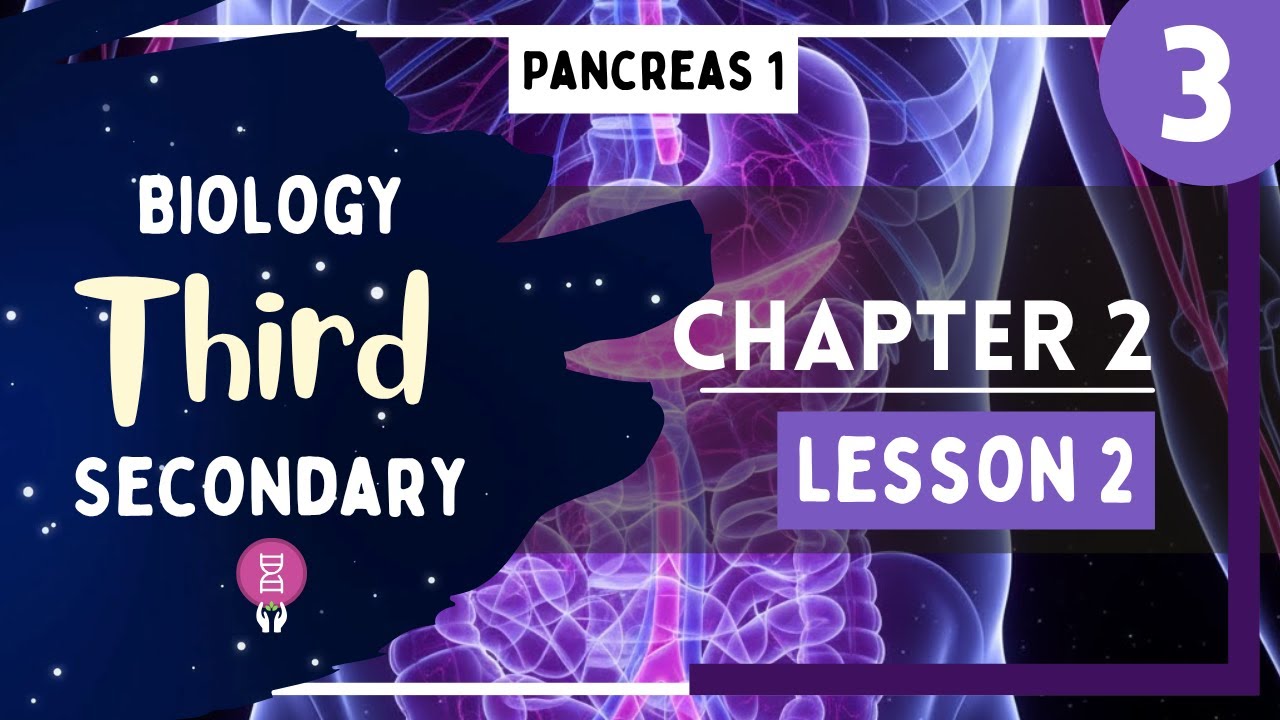 Biology 3rd Secondary Egypt - Chapter 2 - Lesson 2 - P3 (Pancreas 1)