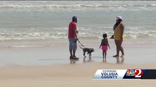 Volusia County leaders to vote on pilot program allowing dogs on part of Ormond Beach