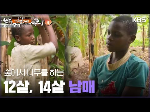 숲에서 나무를 하는 12살, 14살 <strong>남매</strong> [바다 건너 사랑 <strong>3</strong>] | KBS 250323 방송