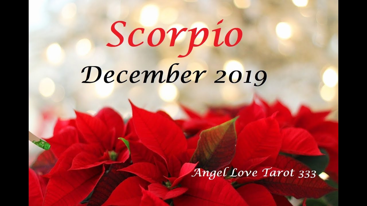 Scorpio ♏️💖You're headed towards a divinely perfect future! December 2019 Tarot Reading