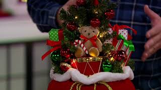Velvet Santa Sack with Illuminated Tree & Presents by Valerie on QVC