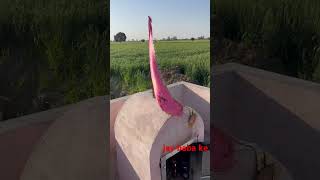 Ram Ram Bahi . Baba Ka Darsen Kerta Hua