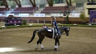 Saar Borgmans Freestyle