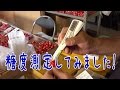 佐藤錦糖度計測してみました！さくらんぼ金賞三席受賞農園 こだわりすぎた篤農家 丹野農園 Sato Nishiki Japanese cherry