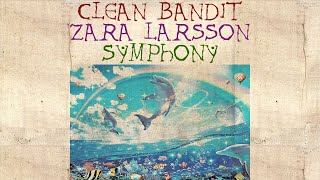Clean Bandit - Symphony feat. Zara Larsson (Bardcore / Medieval Style) Symphony Dolphin Tiktok meme