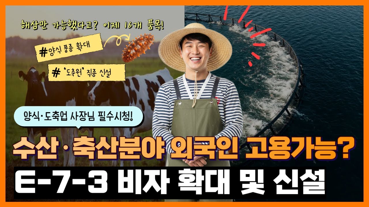 전체 동영상