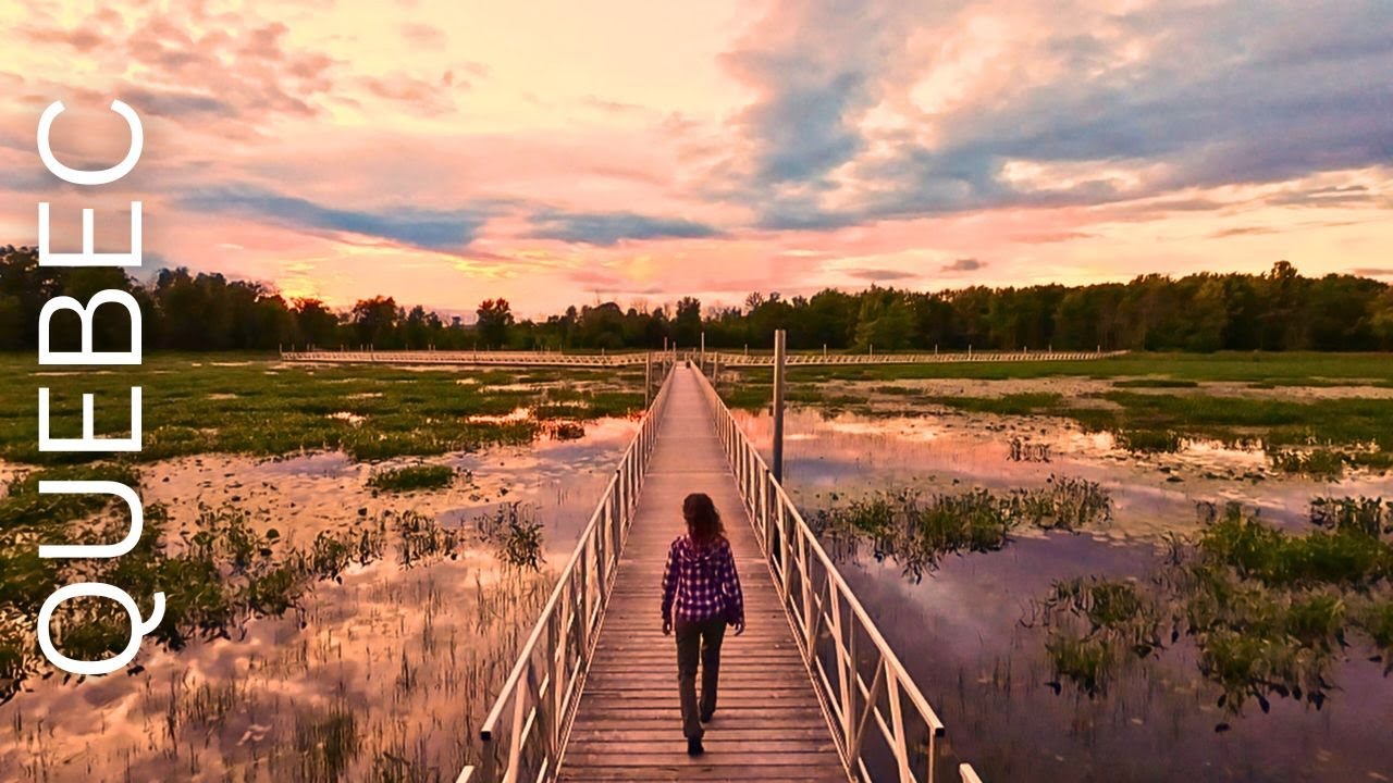 Discovering Plaisance Park | Amazing Boardwalk Trail and Waterfall