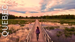 Discovering Plaisance Park | Amazing Boardwalk Trail and Waterfall screenshot 3