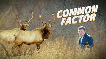 Unite with Numeracy - Common Factor, Episode 5