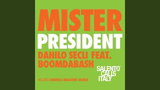 Mister President (feat. BoomDaBash) [Radio Edit]