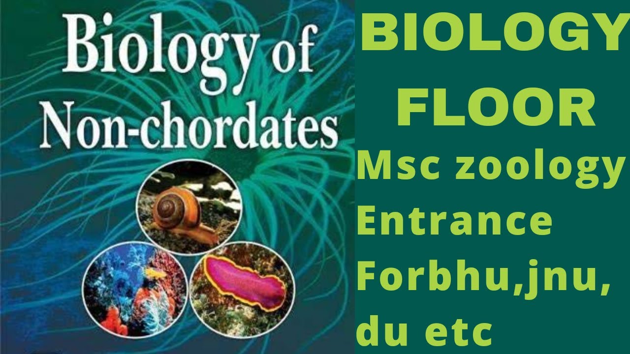 nonchordata-for-msc-zoology-entrance-youtube
