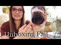 Syngonium Batik Unboxing Mishap