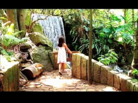 Tréboles - Aterciopelados