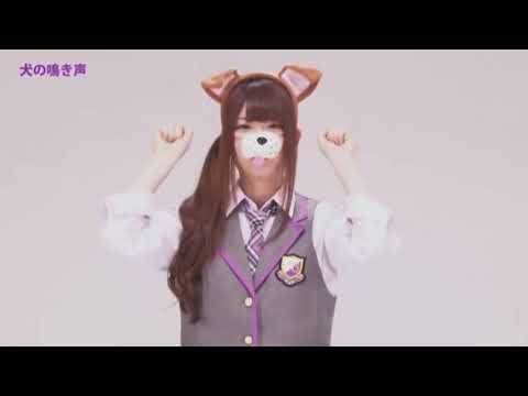 松村沙友理 わんちゃん