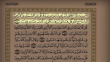 القارئ بدر التركي اليوم ٦٢ سورة النمل من الآية ٤٥ حتى الآية ٩٣