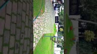 Androk. Garden Works. Contacts