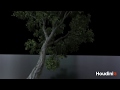 Готовимся к курсу Houdini SoftBody Dynamics