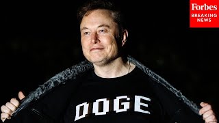 What Is Doge Getting Right And Wrong? Economist Explains