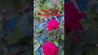 Vivo V30 5G Camera Test: DSLR भी फेल हो गया! 😱🔥