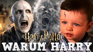 Der Wahre Grund Warum Sich Voldemorts Seele An Harry Potter Klammerte