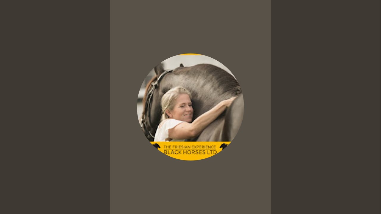 Присоединяйтесь к нам и покормите наших фризских лошадей прямо на пастбище!