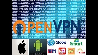 How to use OpenVPN on Android/iOS device 2019 screenshot 2