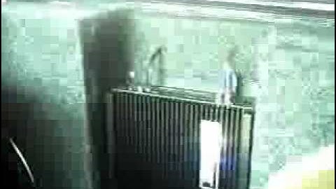 12vdb.com - car audio database: Kicker Comp15.6