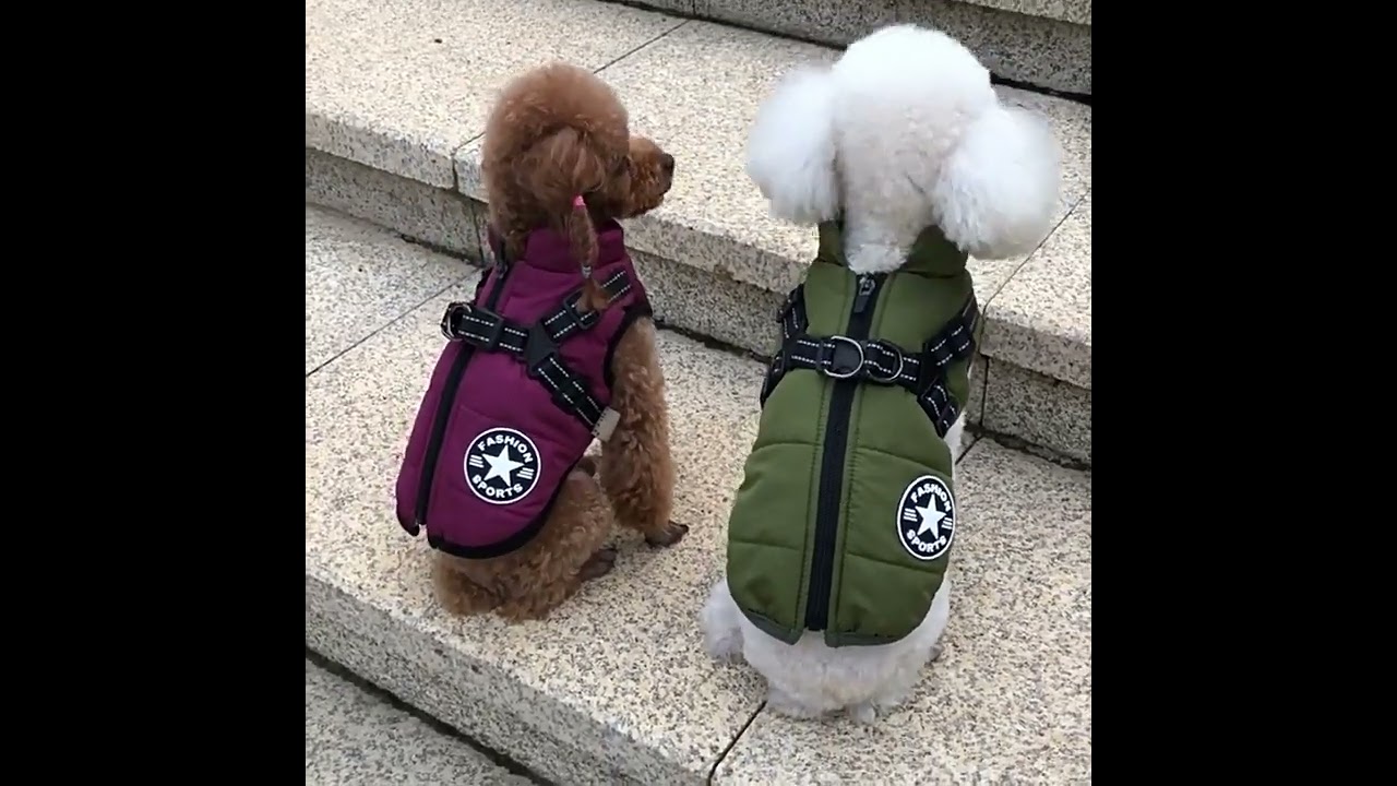 S-5XL Pet Clothes for Dogs Warm Sweater Jacket Harness Winter Dogs Clothing Waterproof 