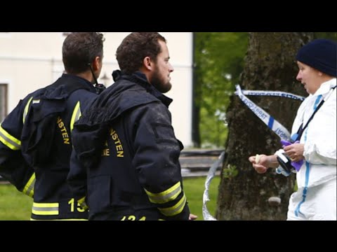 En person död i brand intill slottsbyggnad