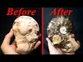 These Ammonites are Fantastic! Prepping &amp; Polishing a Beautiful Pair of Ammonites with the Airscribe