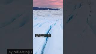 Arctic Records Warmest Summer Ever in 2023