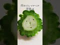 【雑学】顔に見える現象、名前あった #shorts