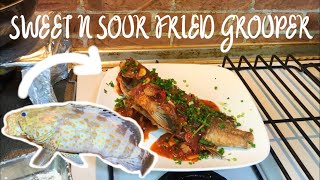 Sweet and Sour Fried Grouper (How to Cook Tasty Grouper)