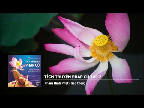 Video Tích Truyện Pháp Cú tập 2 - Phẩm Hình Phạt (tiếp theo) - youtube