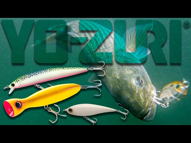 Popper Lures for Striped Bass Fishing
