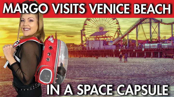Margo the tiniest Chihuahua visits Venice Beach in...