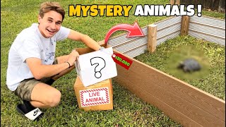 UNBOXING NEW MYSTERY ANIMALS At My ZOO ! I CANT BELIEVE THIS…